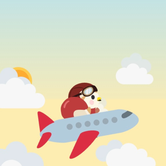 Passenger as well as pilot? π€